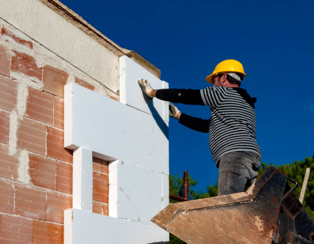 Best Insulation Installation Services in Samsula Spruce Creek, FL