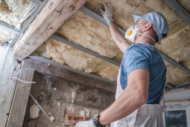 Best Insulation Materials and Products in Samsula Spruce Creek, FL