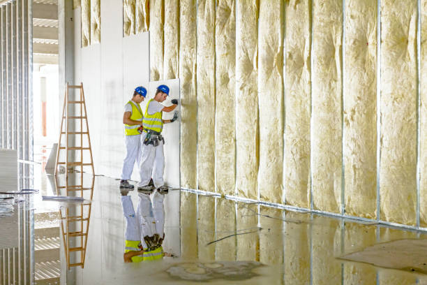 Best Insulation Maintenance and Repair in Samsula Spruce Creek, FL